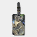 Suche nach beuteltiere accessoires Eukalyptus
