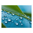 Suche nach tau poster Regen