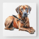 Suche nach ridgeback wanduhren Hund