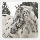 Suche nach schwarze pferde aufkleber Cowboy
