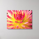 Suche nach jaynes galerie leinwandbilder Blume