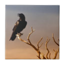 Suche nach raben fliesen Baum