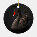 Suche nach schwarzer schwan ornamente Vogelvogel
