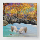 Suche nach polar poster wanduhren Eisbären