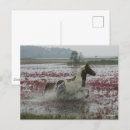 Suche nach bob postkarten Laufen