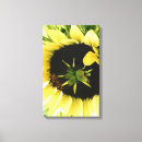 Suche nach gelbe blumen leinwandbilder Paar
