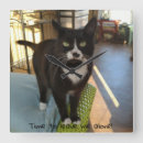 Suche nach attitude wanduhren Für alle