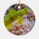 Suche nach gelbe fische ornamente Aquarium