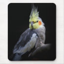 Suche nach cockatiel mousepads Vögel
