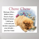 Suche nach chow chow poster Niedlich