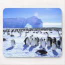 Suche nach halbinsel mousepads Eis