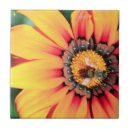 Suche nach make up fliesen Tier