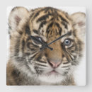 Suche nach kamera kunst Wild lebende tiere