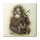 Suche nach orang utans fliesen Regenwald