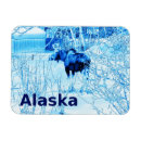Suche nach moose magnete Alaska