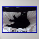 Suche nach obsidian Für alle