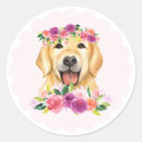 Suche nach golden retriever aufkleber Geburtstag
