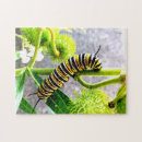 Suche nach raupe puzzle Insekten