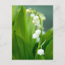 Suche nach botanik postkarten Natur