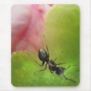 Suche nach ameise mousepads Für alle