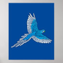 Suche nach blauer papagei poster Vögel