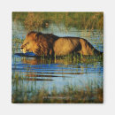 Suche nach delta magnete Botsuana