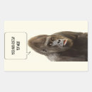 Suche nach gorilla aufkleber Foto