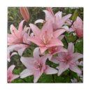 Suche nach rosa lilie fliesen Tropisch