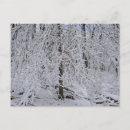 Suche nach schneebedeckter wald postkarten Jede person