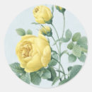 Suche nach rosenaufkleber Gelbe rose