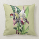 Suche nach paphiopedilum Blumen