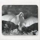 Suche nach infrarot mousepads Neapel