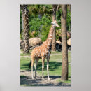 Suche nach nacke poster Afrika