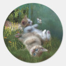 Suche nach gemischte medien aufkleber Kätzchen