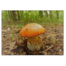 Suche nach wulstling Natur