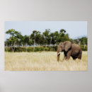 Suche nach wandbehang poster Fotografie