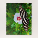 Suche nach bestäubung puzzle Blume