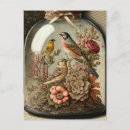 Suche nach vintage botanische vögel postkarten Für alle