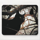 Suche nach gespenstischer baum Schwarze katze