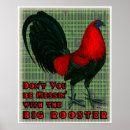 Suche nach roter hahn poster Vogelvogel