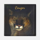 Suche nach cougar magnete Tierwelt