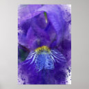 Suche nach iris aquarell poster Für alle