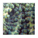 Suche nach gesund fliesen Lebensmittel