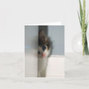 Suche nach unschuld karten Katze
