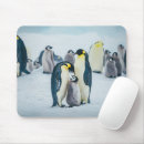 Suche nach baby pinguin mousepads Kaiserpinguin