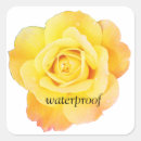 Suche nach wasserdichte aufkleber Jede person
