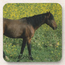 Suche nach mustang untersetzer Foto