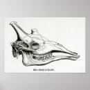Suche nach überreste poster Knochen