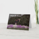 Suche nach phlox karten Spaß