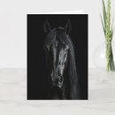 Suche nach schwarzes pferd karten Pferdekunst